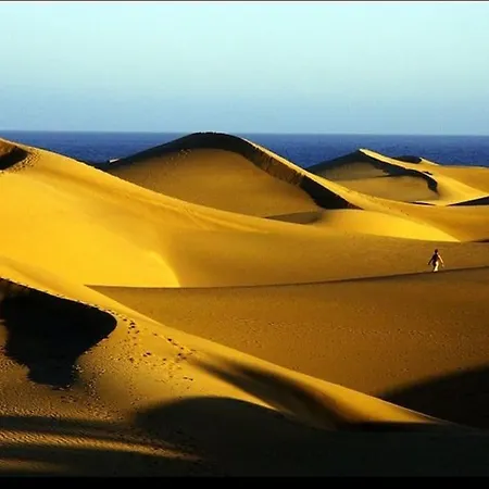 Eagle View By Casas Cocodrilo Maspalomas (Gran Canaria)