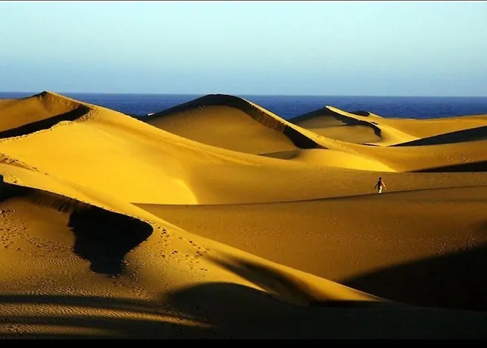 Eagle View By Casas Cocodrilo Maspalomas (Gran Canaria)